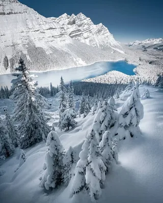 Пейзаж Снежных Гор — стоковые фотографии и другие картинки Lake Alpsee -  Lake Alpsee, Австрия, Альпшпитце - iStock