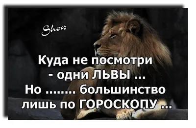 ekaterina.petrova.ekariver - Лев… 🦁 Когда слышишь про льва, то сразу  представляешь себе большого, храброго хищника, царя зверей. И не  удивительно, что в английском языке идиомы, в которых фигурирует лев, в  основном про