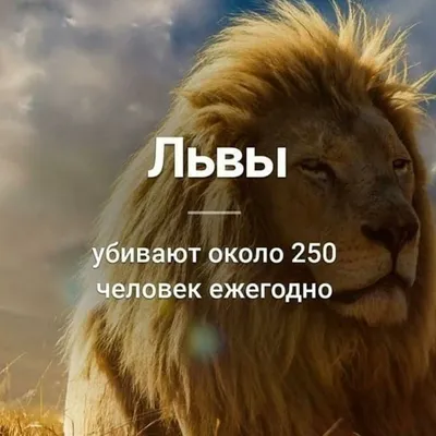 ЛЕВ ГОРОСКОП 🦁 (@goroskope_lev) • Instagram photos and videos