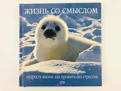 Ещё один солнечный лев мне в копилочку работ. 🦁 Подарок со смыслом для  мужчины (\"ты мой лев!\", а также для зодиакальных львов и для обладателей...  - O-la-la Studio. Кружки и ложки с