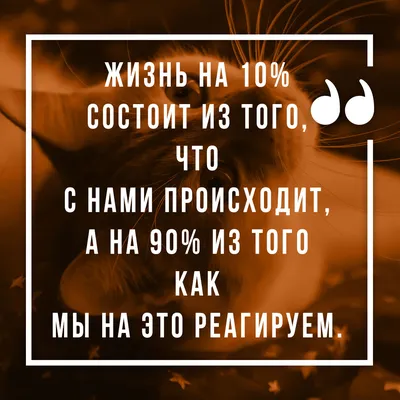 В чем смысл жизни и нужно ли его искать, рассказали психологи