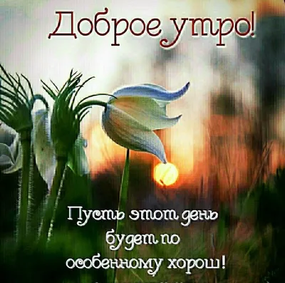 Статусы со смыслом added a new photo. - Статусы со смыслом