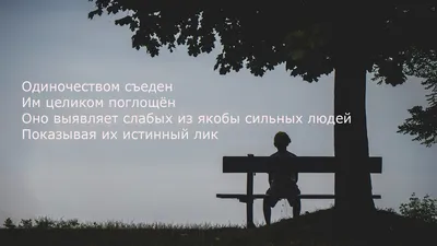 Одиночество души. Стихи | Пищальникова Татьяна - купить с доставкой по  выгодным ценам в интернет-магазине OZON (728490272)