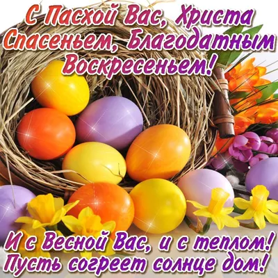 СО СВЕТЛОЙ ПАСХОЙ 🥚🌟 #спасхойпоздравления #сосветлымпраздником #хрис... |  TikTok