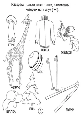 Раскраска звуком . Картинки со звуком Ж. Сайт с раскрасками.