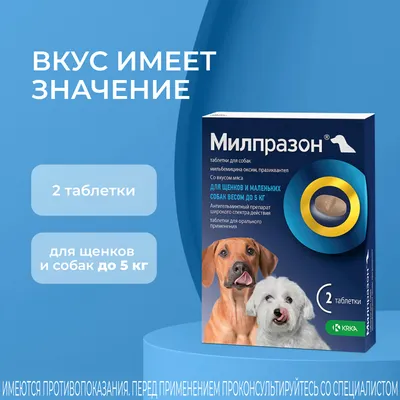 Супрамил ® таблетки для собак и щенков до 20 кг 2 таб, упаковка купить по  низкой цене с доставкой - БиоСтайл