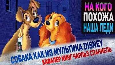 мультфильм собака 3D Модель $12 - .fbx .max .obj - Free3D