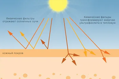 картинки : природа, люди, девушка, Солнечный свет, солнце, женщина, волосы,  Восход, закат солнца, Солнечный лучик, утро, цветок, рассвет, лето, женский  пол, Тайна, вечер, Сумерки, брюнетка, модель, Молодой, Осень, Мода, Поля,  Красоту, красивая,