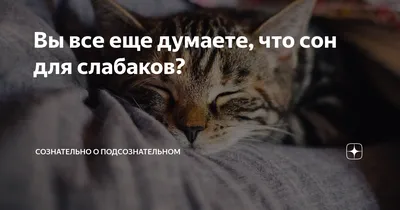 💤 «Сон для слабаков», —... - SQLAB - клініка для здорових | Facebook