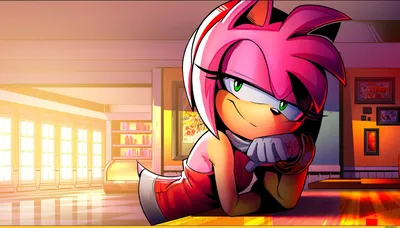 Amy (Sonic X) | Amy rose, Sonic, Amy the hedgehog