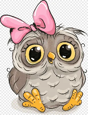 Умные совы | Owl art, Owl cartoon, Owl pictures