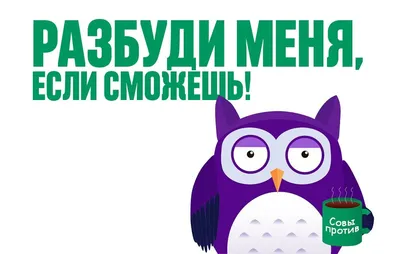 Открытка совы на день рождения - instapik | Открытки, С днем рождения,  Смешные валентинки