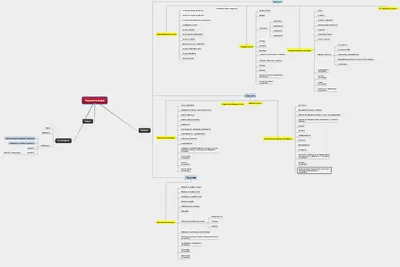 Как создать сайт на WordPress: инструкция для новичков