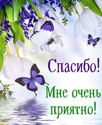 Открытка с именем Ли Спасибо за поздравления. Открытки на каждый день с  именами и пожеланиями.