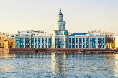 Государственные закупки Санкт-Петербурга | Закупки Петербурга