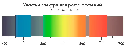 32. Излучение и поглощение света атомом. Спектры испускания и поглощения