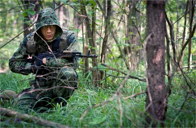 Фигурка Спецназ ВДВ в Крыму \"Вежливые люди\" 1/6 Airborne Troops 'VDV' in  Crimea от Damtoys - купить на Toyszone.ru