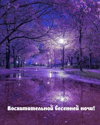 ʚ♥ОТКРЫТКИ♥ɞ꧂ (@pobeda.888)'s videos with оригинальный звук -  ꧁ʚ♥ОТКРЫТКИ♥ɞ꧂ | TikTok