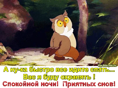 Прикольная сова! Анимации с пожеланием спокойной ночи, пожелания спокойной  ночи гифы! Оригинальные пожелания спокойной … | Спокойной ночи, Ночь,  Смешные комплименты