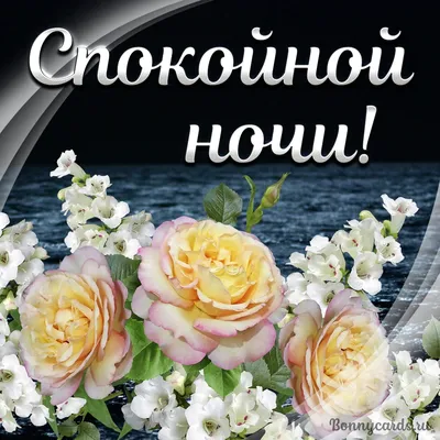 Картинки \"Спокойной ночи!\" (2829 шт.)