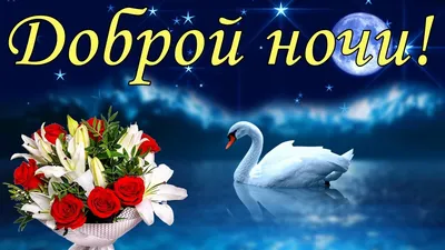 Открытки \"Спокойной ночи!\" для женщин (207 шт.)