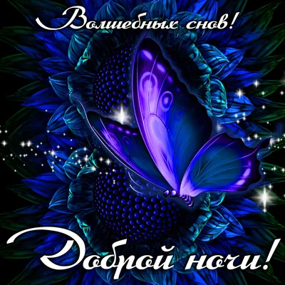 Спокойной ночи!🌃 Сладких снов! 🥱😴😘😘😘❤#спокойнойночи #сладкихснов... |  TikTok