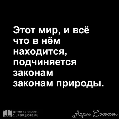 Цитаты о детях и их отношениях с родителями: мудрые высказывания со смыслом