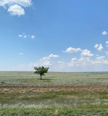 Тарутинская степь бурлит жизнью и энергией (ФОТО) | ЮГ.today