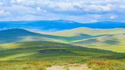 Степи, леса и лесополосы | Пикабу