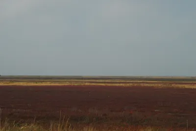 Курайская степь, Алтай – фото, на карте, достопримечательности, погода, как  добраться