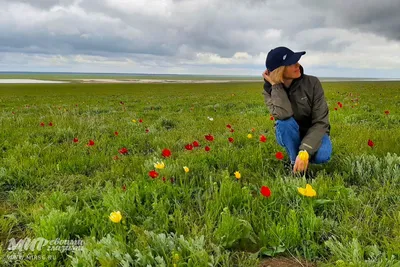 Как возводили главный символ Буджакской степи