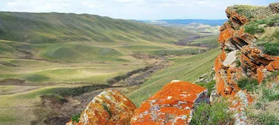 Агрохолдинг «Степь» купил ведущего производителя фасованных сыров –  Агроинвестор