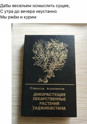 У меня в ушах бананы. Прикольные стихи. Розен Майкл купить по низким ценам  в интернет-магазине Uzum (611170)