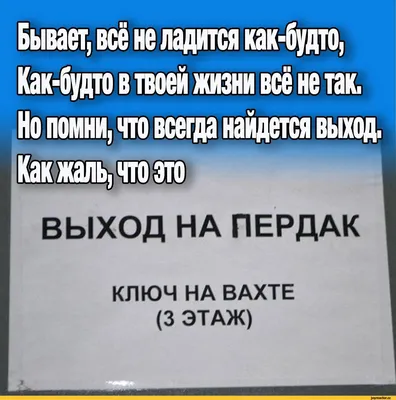 стишки / смешные картинки и другие приколы: комиксы, гиф анимация, видео,  лучший интеллектуальный юмор.