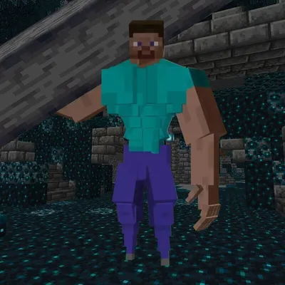 Adult Minecraft Steve Costume