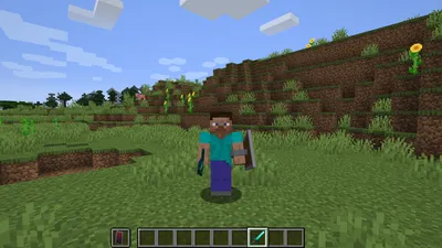 https://www.playbite.com/is-steve-from-minecraft-black/