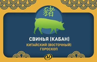 Генетически совместимы. Человеку впервые пересадили органы свиньи - РИА  Новости, 05.02.2020