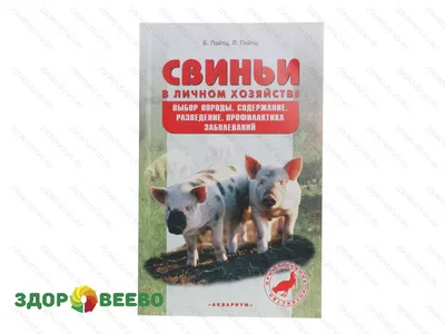 О чем говорят свиньи: ученые научились понимать язык поросят | Своё  Фермерство: всё об агробизнесе и фермерстве | Дзен