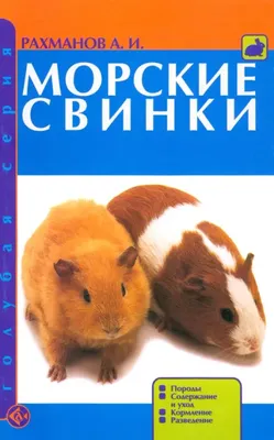 Набор игровой Свинка Пеппа Семья Свинки Пеппы 34833 купить по цене 199 ₽ в  интернет-магазине Детский мир