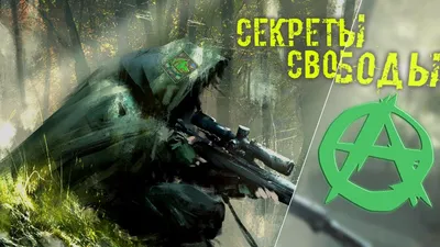 Как появилась группировка Свобода: S.T.A.L.K.E.R. | Nuka-Cola News | Дзен