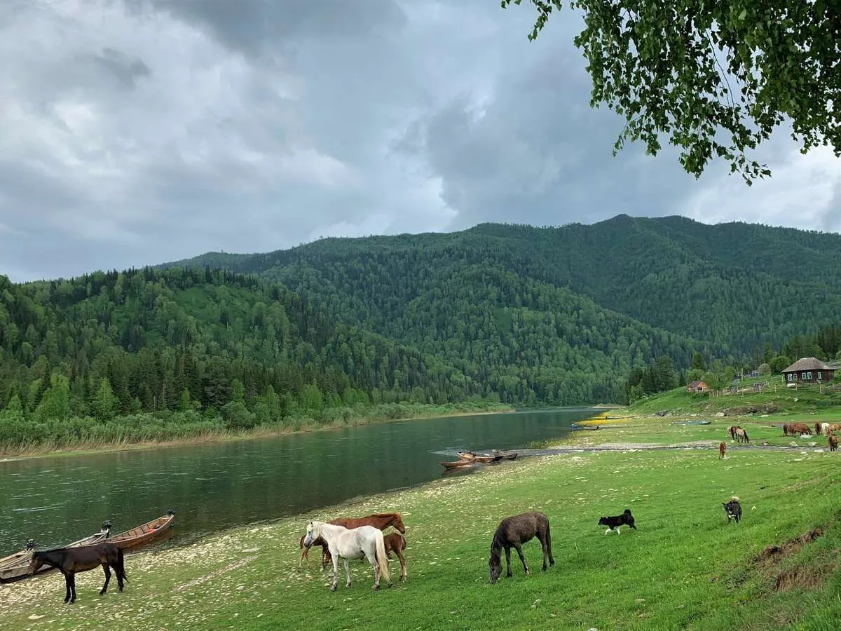 File:Зелёное море тайги (вид со смотровой площадки).JPG - Wikimedia Commons File:Зелёное море тайги (вид со смотровой площадки).JPG - Wikimedia Commons