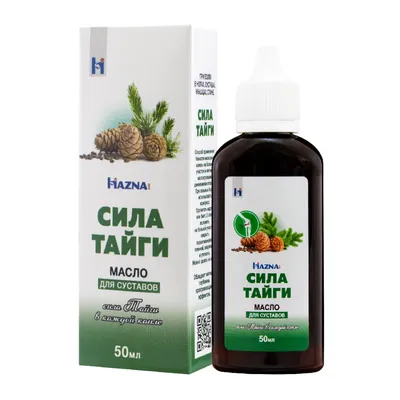 Тайга России. География. | Distese del Kuban🌻 | Дзен