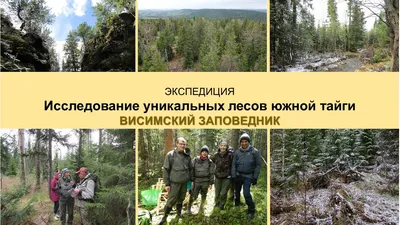Масло для суставов «Сила тайги» - для лечения повреждённых суставов купить  в СПб по цене: 900 руб. с удобной и недорогой доставкой по РФ