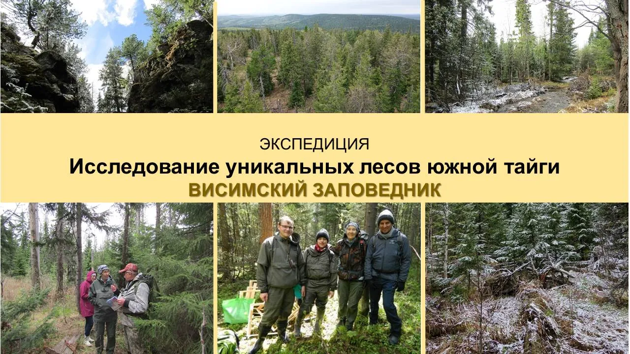 Масло для суставов «Сила тайги» - для лечения повреждённых суставов купить в СПб по цене: 900 руб. с удобной и недорогой доставкой по РФ Масло для суставов «Сила тайги» - для лечения повреждённых суставов купить в СПб по цене: 900 руб. с удобной и недорогой доставкой по РФ