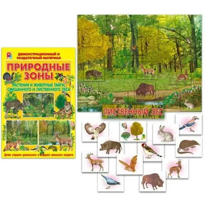 Экспедиция «Исследование уникальных лесов южной тайги, Висимский  заповедник» | ЦЭПЛ РАН