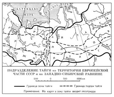 Природные зоны тайги, смеш и лист леса - купить с доставкой по выгодным  ценам в интернет-магазине OZON (1123114936)