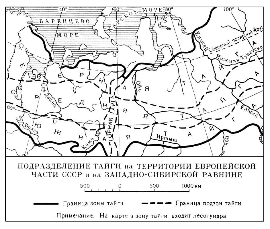 Природные зоны тайги, смеш и лист леса - купить с доставкой по выгодным ценам в интернет-магазине OZON (1123114936) Природные зоны тайги, смеш и лист леса - купить с доставкой по выгодным ценам в интернет-магазине OZON (1123114936)