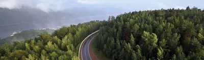 Красивое фото летней тайги с высоты» — создано в Шедевруме