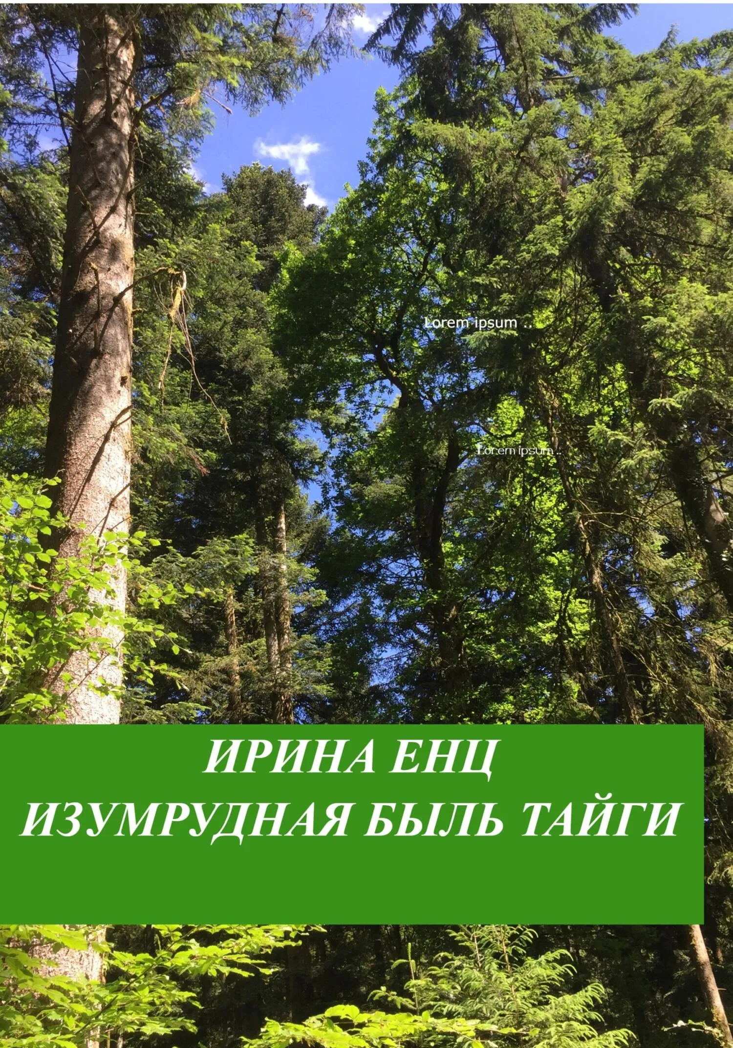 Тайга обои на рабочий стол - 69 фото Тайга обои на рабочий стол - 69 фото