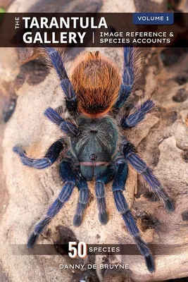 Tarantula - Wikipedia